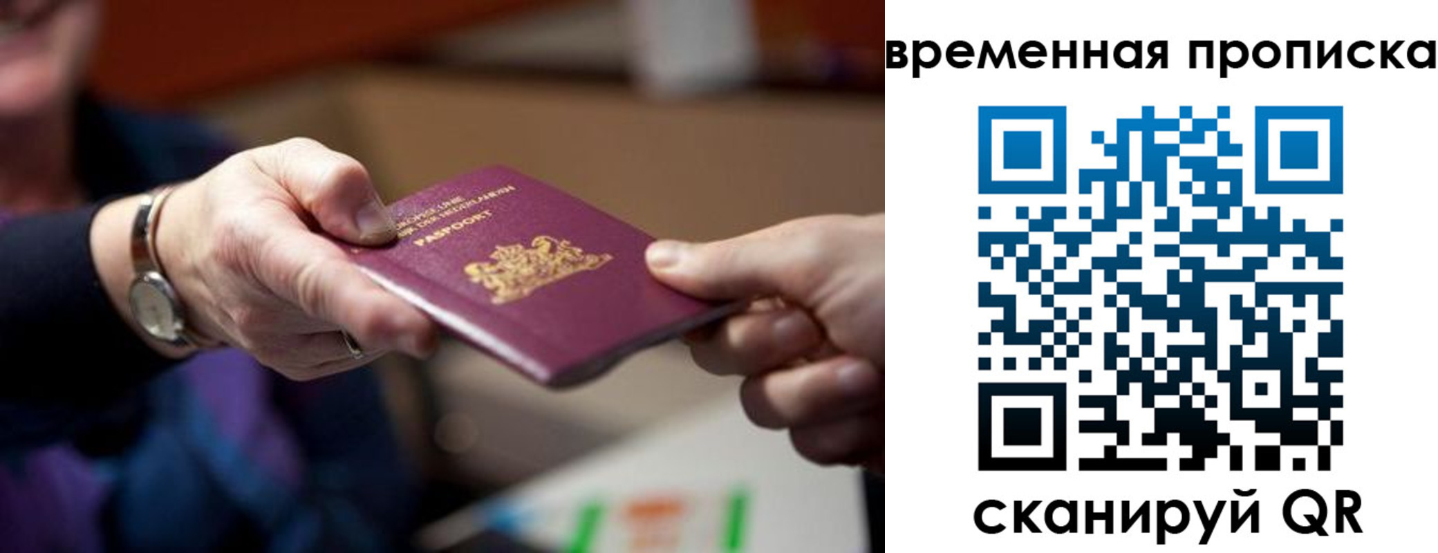 временная регистрация для всех в Светлом
